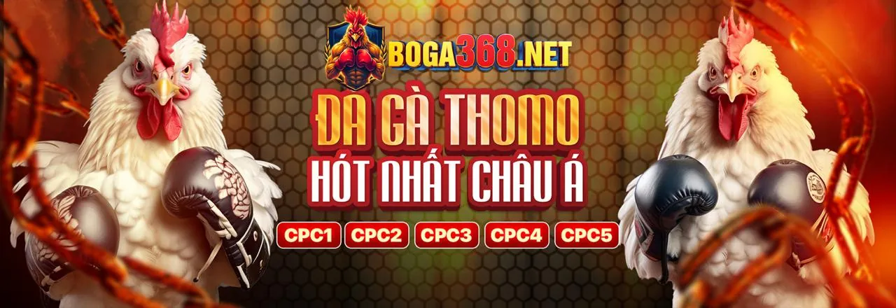 Đá Gà Trực Tiếp Hấp Dẫn tại Game Bài 2026